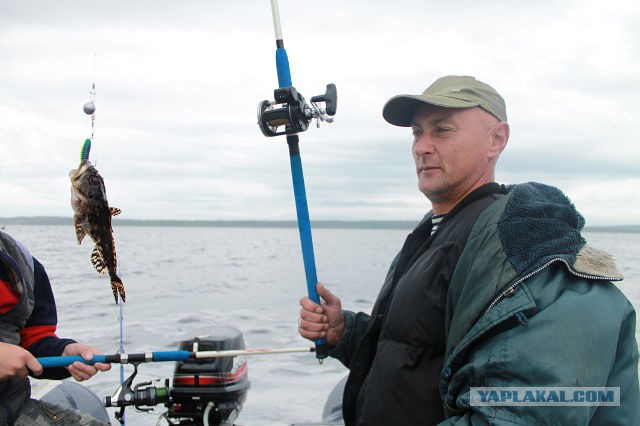 Рыбалка на Белом море