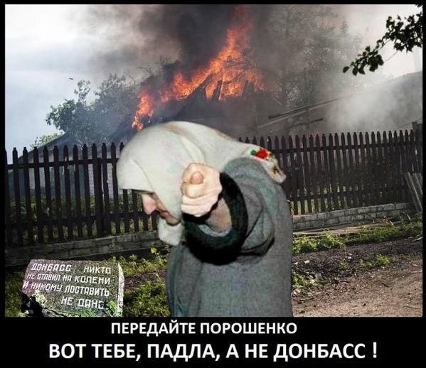 Реакция ЭТИХ на выборы в Новороссии