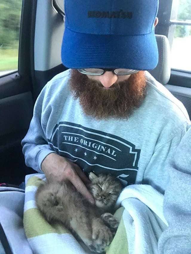 Канадец заметил крошечного котёнка и решил ему помочь.