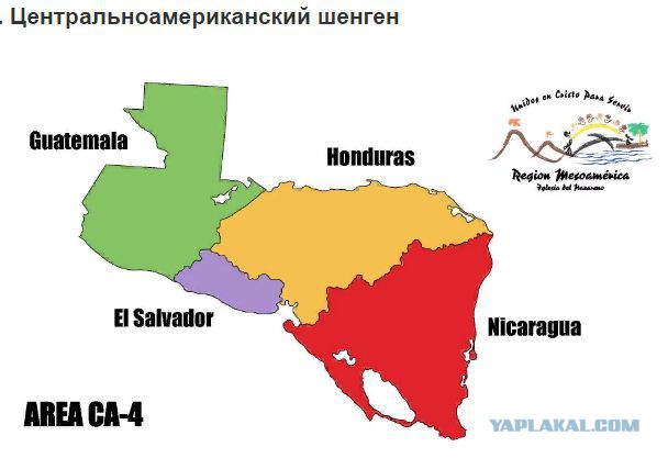 Прогулка по родине "Сальвадорских бродячих муравьёв"