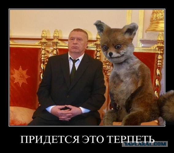 http://s00.yaplakal.com/pics/pics_original/2/5/2/1514252.jpg