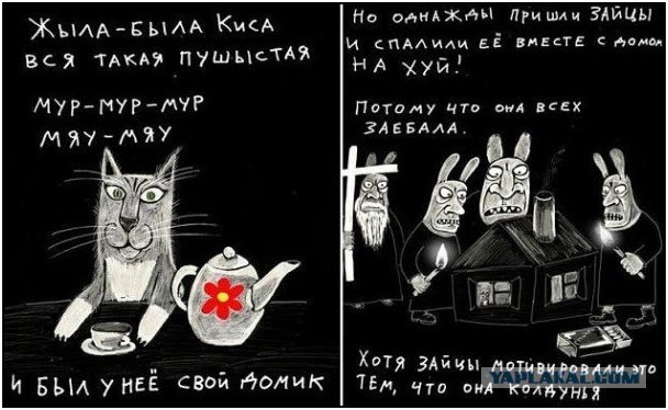 Котостоматологические этюды