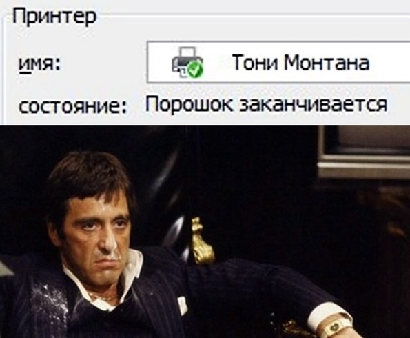 10783552.jpg
