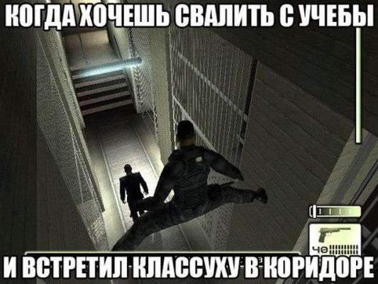 6572552.jpg