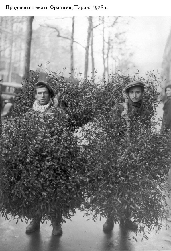 Подборка редких фотографий со всего мира