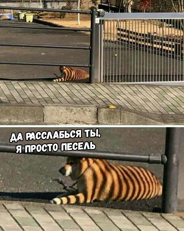 Нестандартный юмор