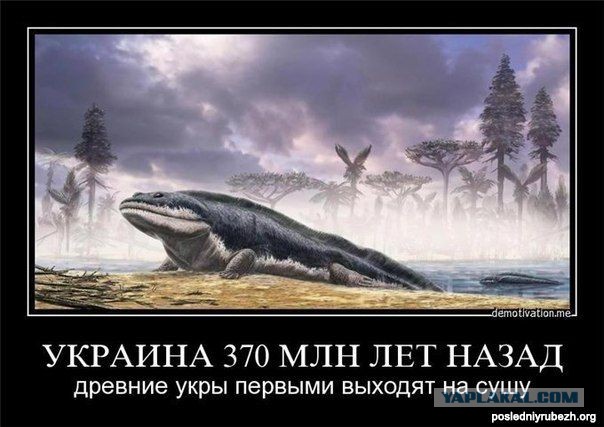 5004162.jpg