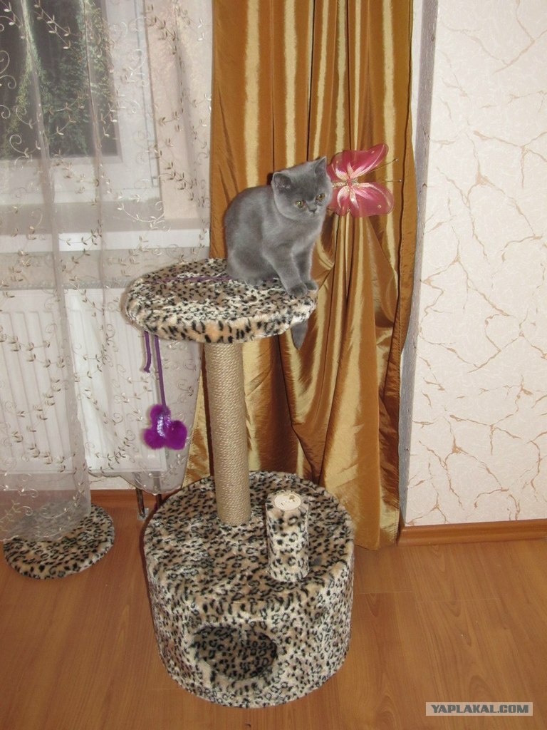 То я в шкафу статус То я в шкафу статус