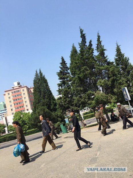 Ни шагу от гидов и марши по утрам. Белорусы рассказали, как съездили в Северную Корею.