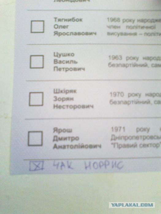 Мое голосование во Львове