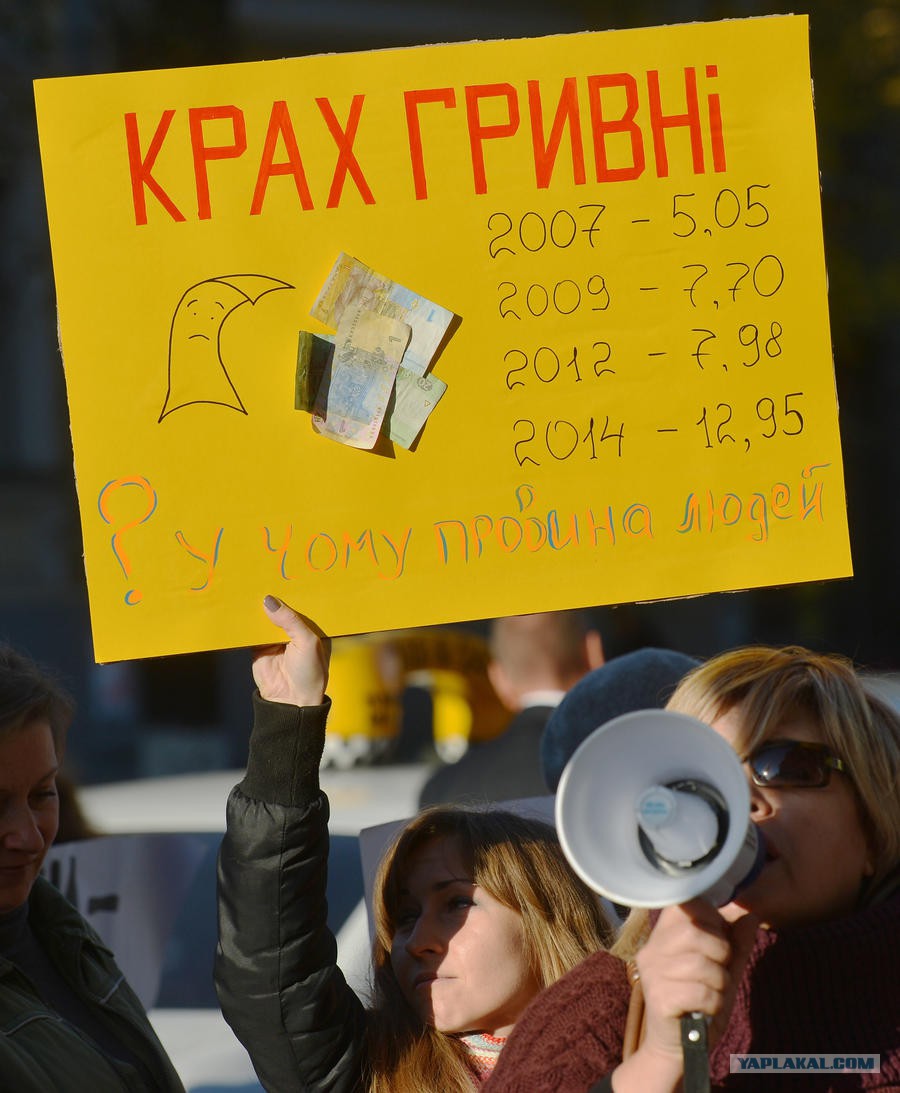 4301762.jpg