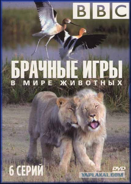 Триллер в Ростове: насильник час преследовал свою жертву в закрытом супермаркете