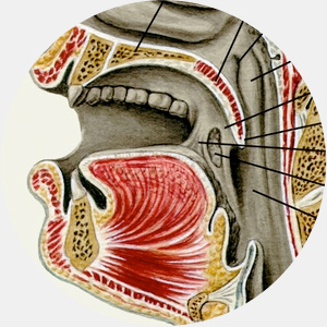 10 самых заметных «шрамов»