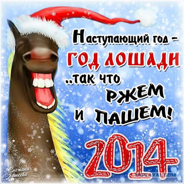 [Image: 2599172.jpg]