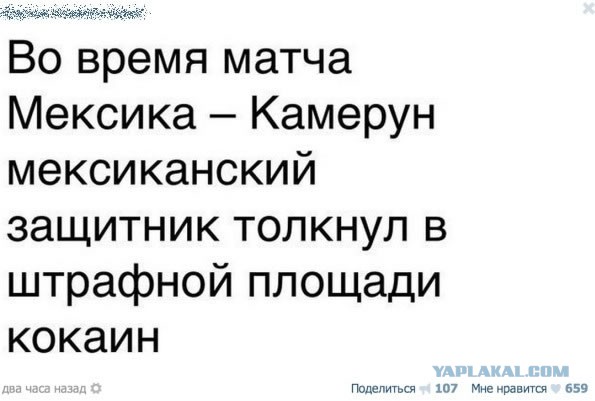 3895172.jpg