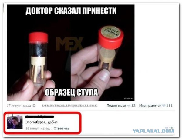 3399272.jpg