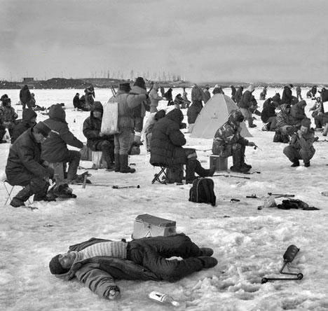 Веселые картинки. Твои друзья на прогулке. Найди себя среди них