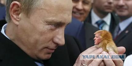 Инаугурация 45-го президента США Дональда Трампа