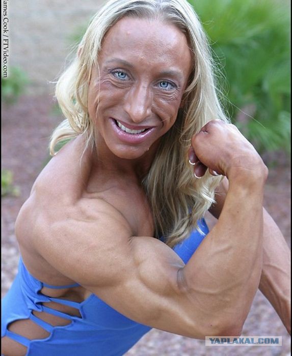 bodybuild schema