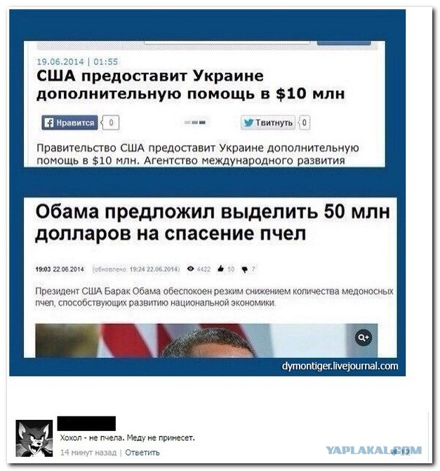 Смешные коментарии из соц. сетей