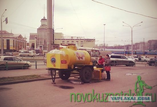 Японка Мики пробует квас, черный хлеб и пряник