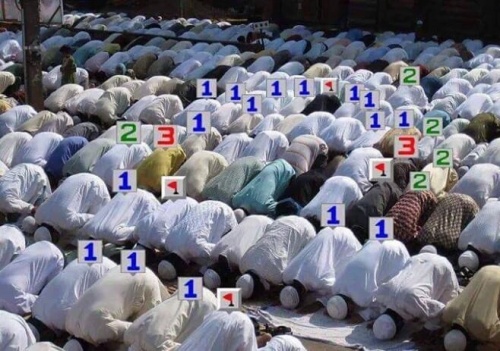 6973192.jpg