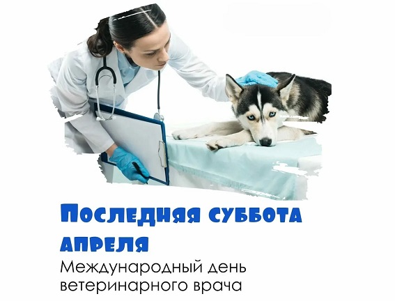 Праздник у ветеринарных врачей!