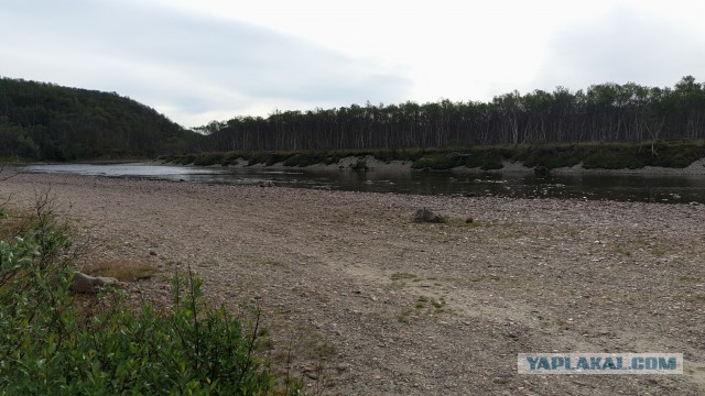 На море в шерстяных носках