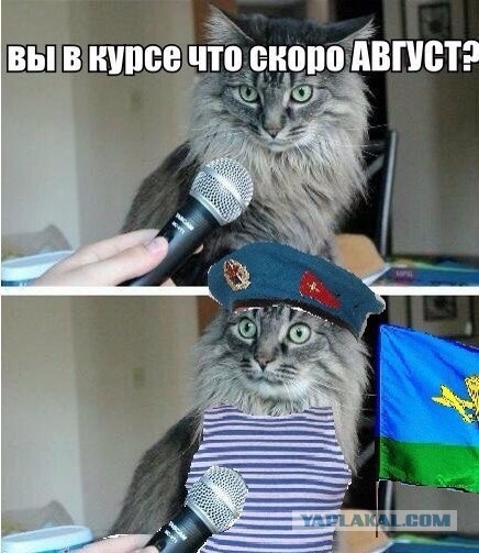 Пссс, десантура уже ушла ?