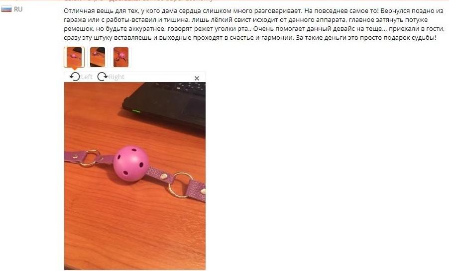 12673013.jpg