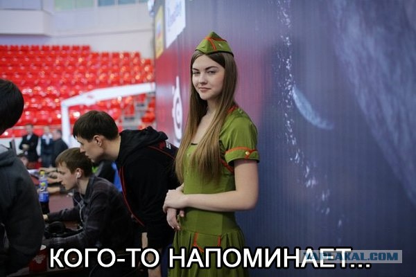 5239113.jpg