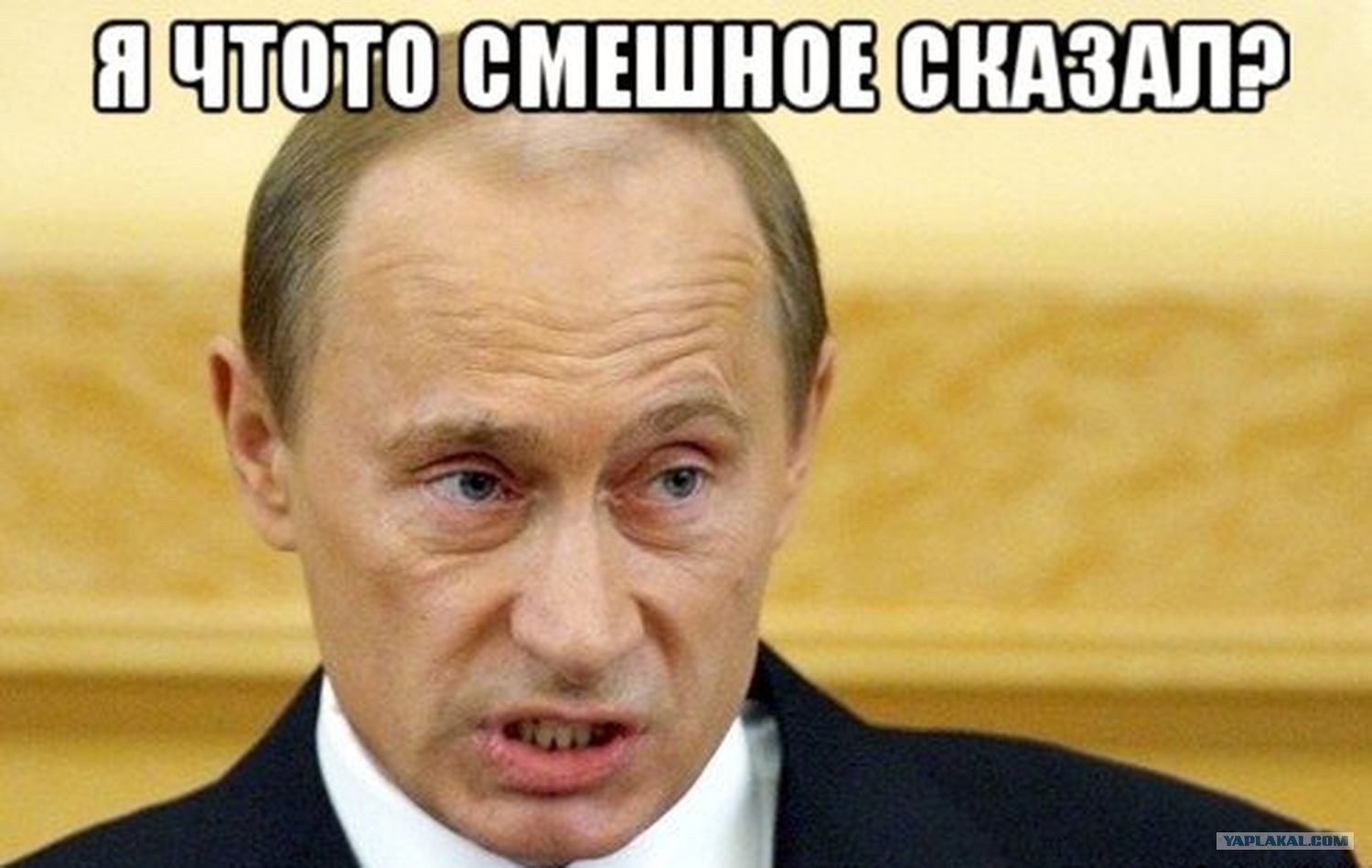 Поздравление с днем рождения настя путин Поздравление с днем рождения настя путин