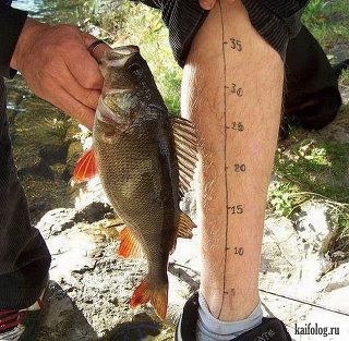 Ловись рыбка большая... маленькая не ловись