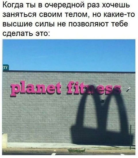 10143613.jpg