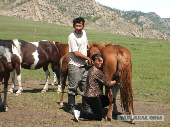 Путешествие в Монголию