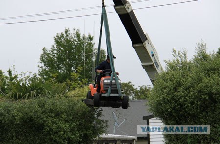 Новое слово в садоводстве