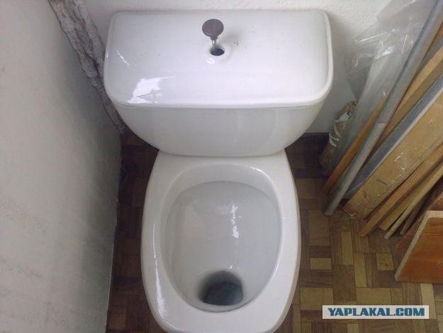Обновил туалет