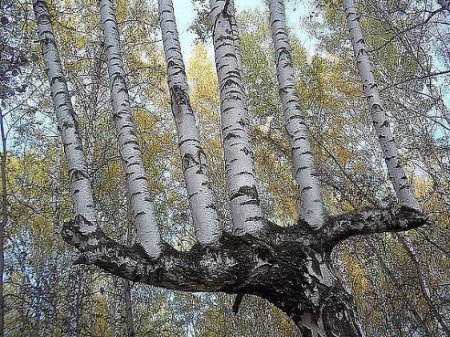 Подборка редких кадров