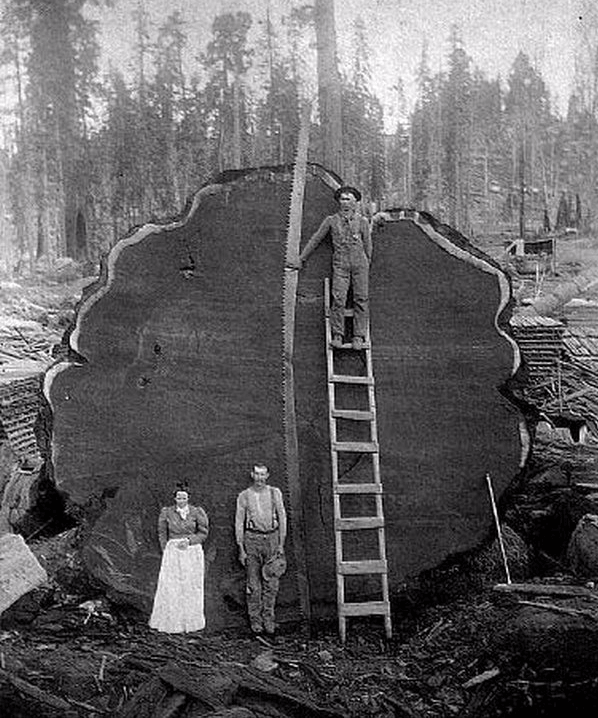 Фальшивая история человечества. Старинные фотографии