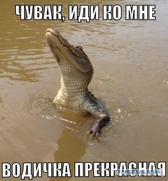 Очень чистая вода