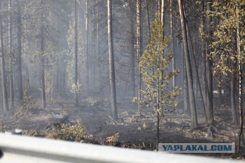 Пожары в ЮГРЕ