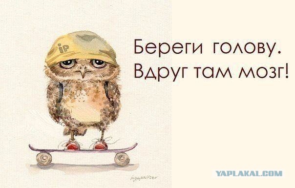 Весёлое из сети