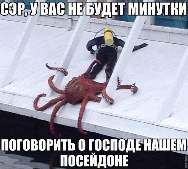 Зверское нападение осьминога на человека