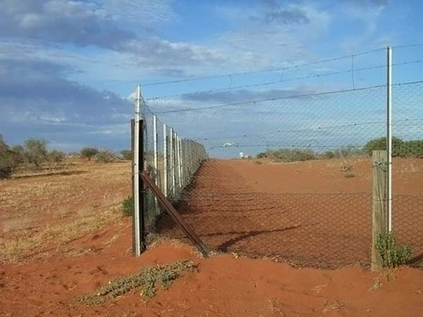 Самый длинный забор в мире (7 фото)