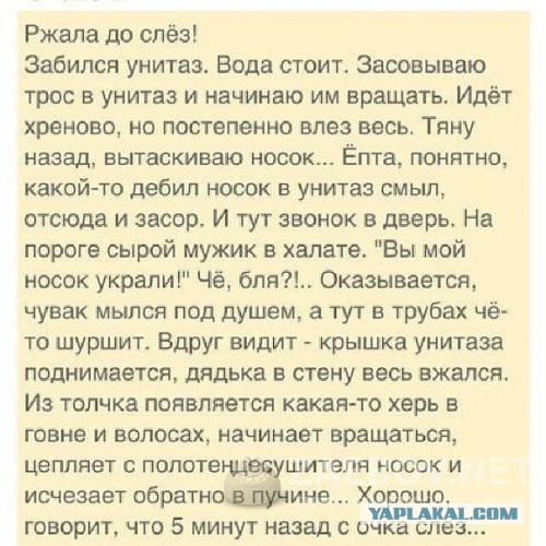 Статусы чтобы все ржали Статусы чтобы все ржали