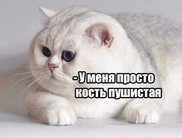 9129233.jpg