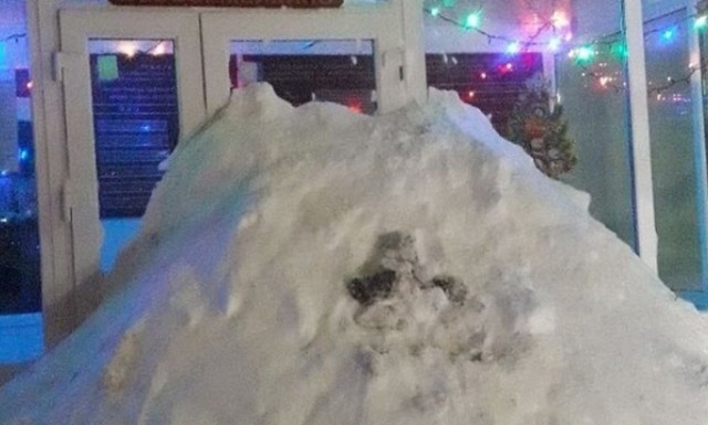Жители Самарской области завалили снегом вход в здание районной администрации