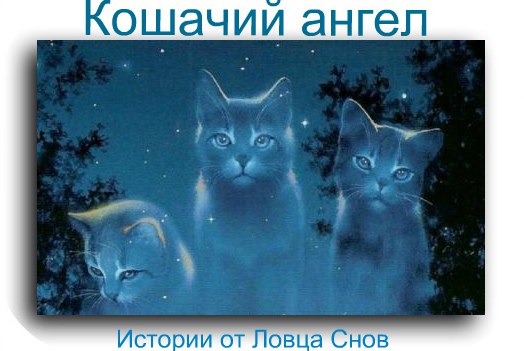 Кошачий ангел