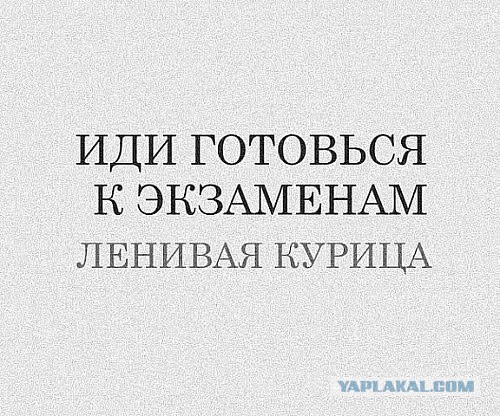 ЕГЭ по русскому языку сдаст на 146 баллов