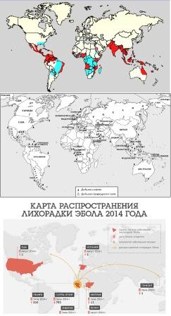 Эбола и нефть